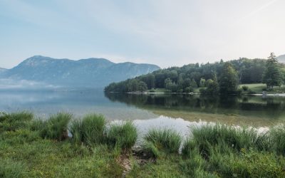 Acción de la UE en materia de energía y cambio climático