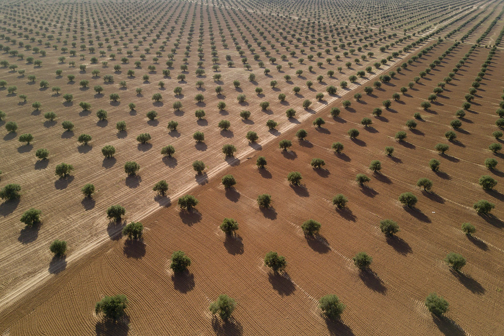 La nouvelle PAC favorise l'agriculture intensive