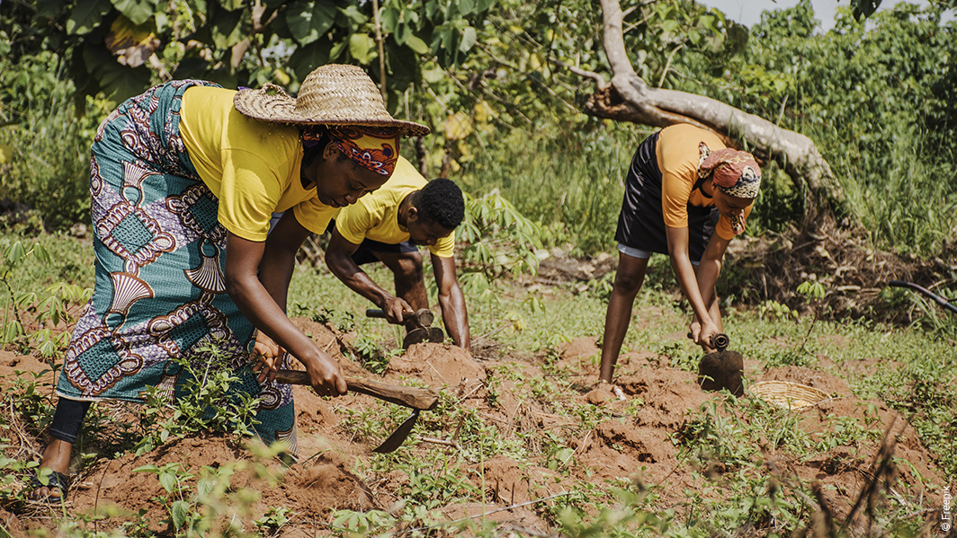 Afrique, biomasse traditionnelle pour la cuisson