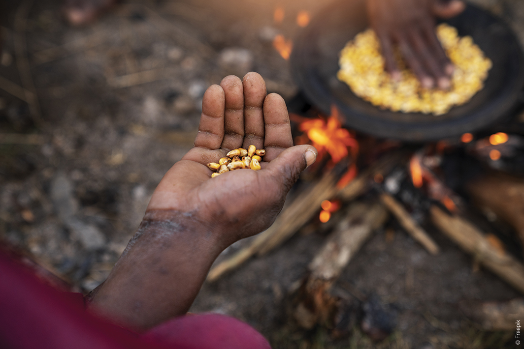 Afrique, biomasse traditionnelle pour la cuisson