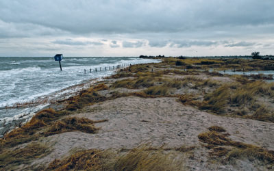 Quand la mer monte, j’ai honte