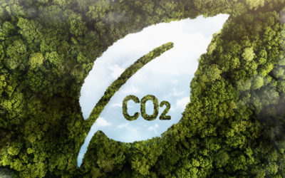 Klimageld : l’Allemagne va redistribuer l’argent de sa taxe carbone directement à ses citoyens