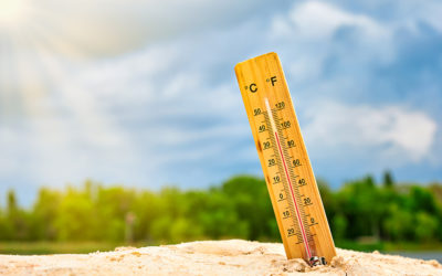 Canicule juin 2025 : qui aurait pu prévoir ?