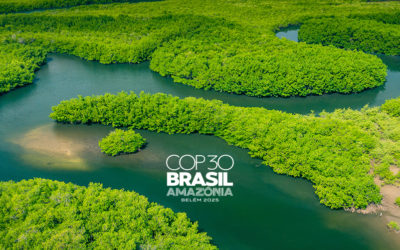 “Ce que j’attends de la COP 30”, par Jean Jouzel