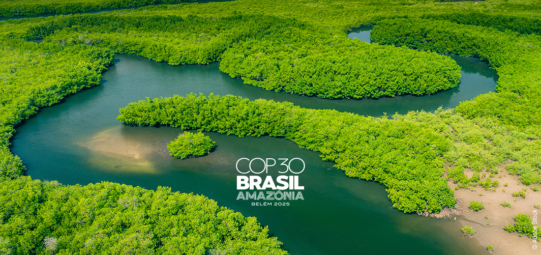 “Ce que j'attends de la COP 30”, par Jean Jouzel