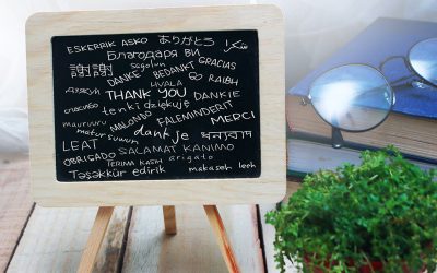 Adieu 2025. Merci à tous nos donateurs !