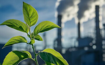 CBAM, ETS, ICC : vers une politique carbone plus cohérente ?