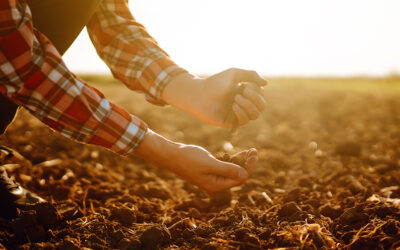 Adapter notre agriculture et notre alimentation au changement climatique