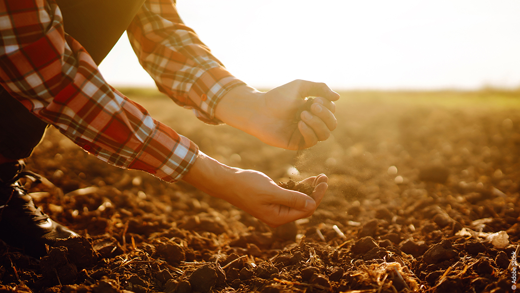 Adapter notre agriculture et notre alimentation au changement climatique