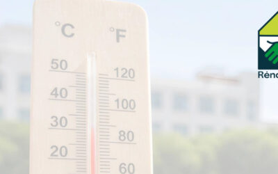 [Communiqué de presse] Canicule : la rénovation énergétique globale permet de diviser par trois le nombre de jours de chaleur excessive dans son logement l’été