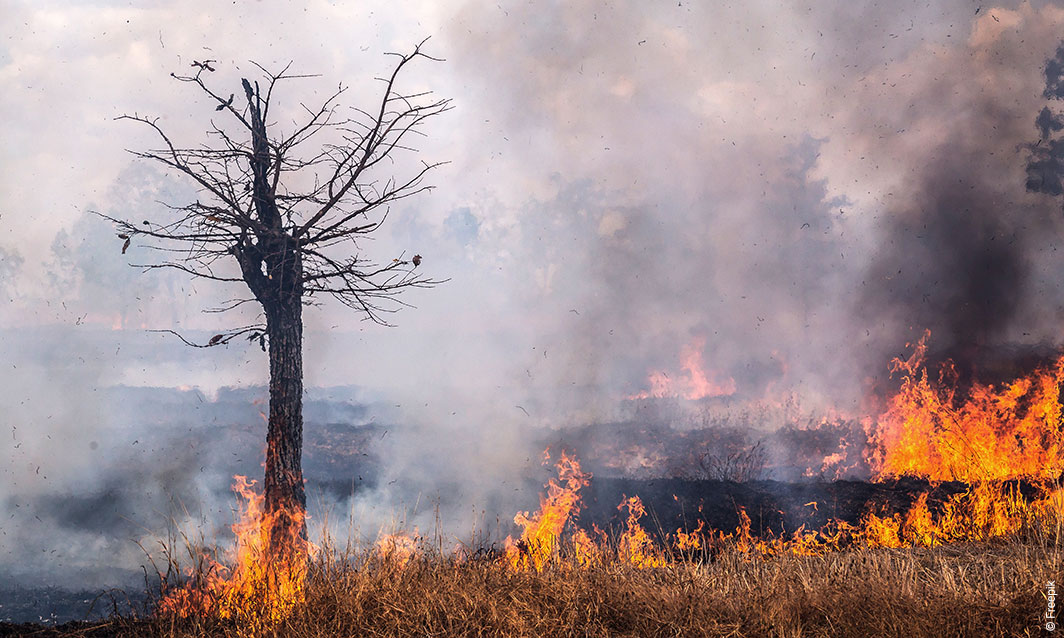 Mesdames et messieurs les parlementaires et membres du gouvernement : canicules à répétition, sécheresse, détresse agricole, feux de forêts incontrôlables, quand allez-vous enfin ouvrir les yeux ?