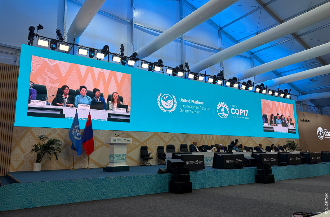 Séance plénière de clôture de la COP17 